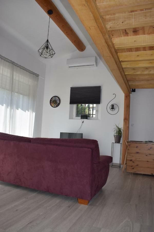 Loft Le Mistral Avec Exterieur En Saison Apartment Maillane